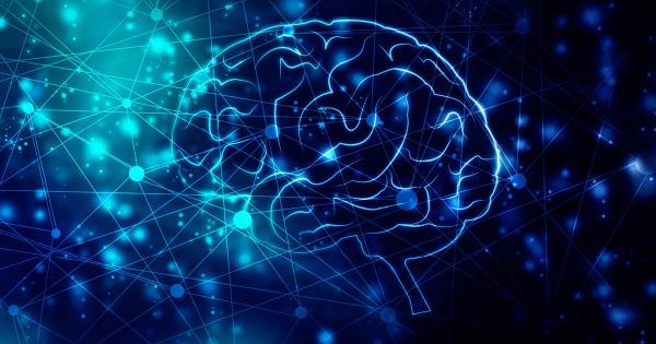 brain and connectivity symbolizing psychology and habits